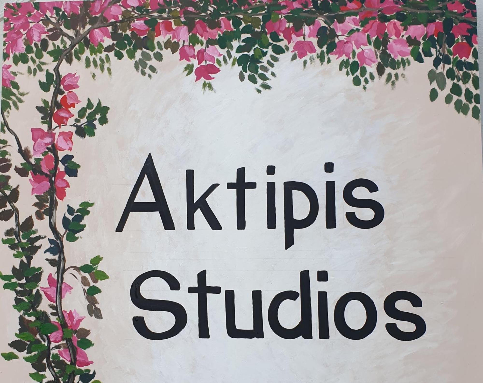 Aktipis Studios Argassi Exterior photo